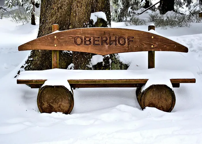 Appartement Tannenblick 3-2-3-3 Oberhof (Thuringia)